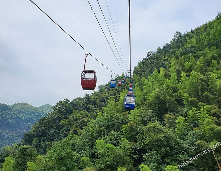 Sightseeing Bus in Shunan Bamboo Forest