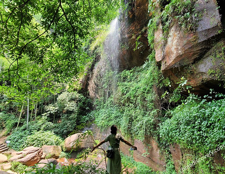 Wangyou Valley in Shunan Bamboo Forest.jpg