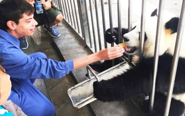 Shenshuping Base Volunteer Panda Feeding