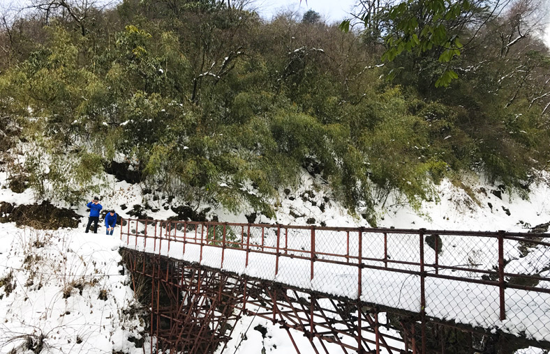 Wolong Panda Trekking Research - Trekking Way