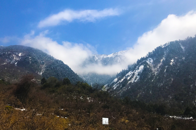 Wolong Panda Trekking Research - Tiantaishan Sightseeing