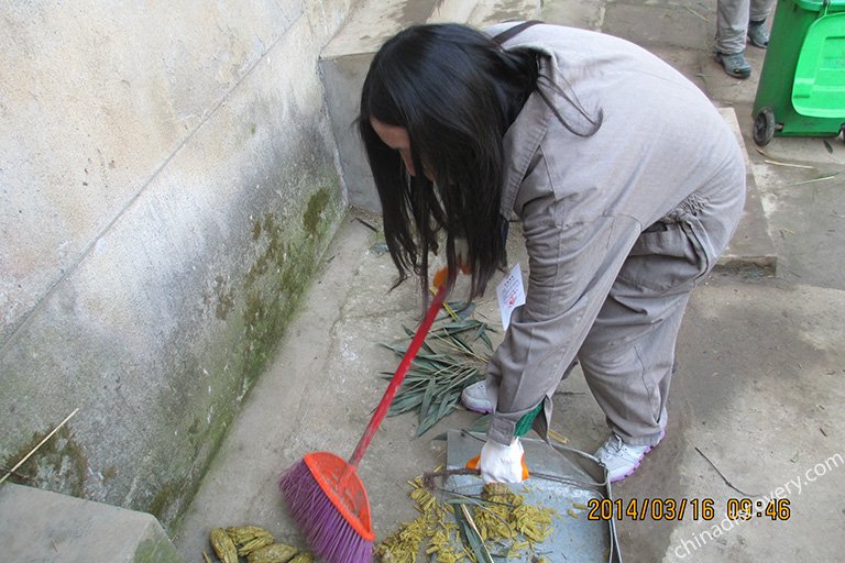 Bifengxia Panda Volunteer - Clean Panda Enclosure