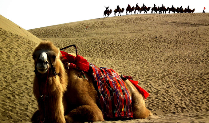 Silk Road Travel