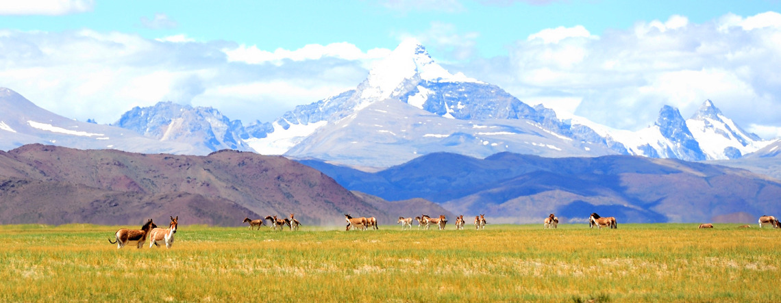 Mt. Kailash Tour 2023