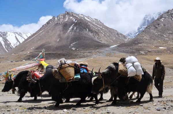 Mount Kailash