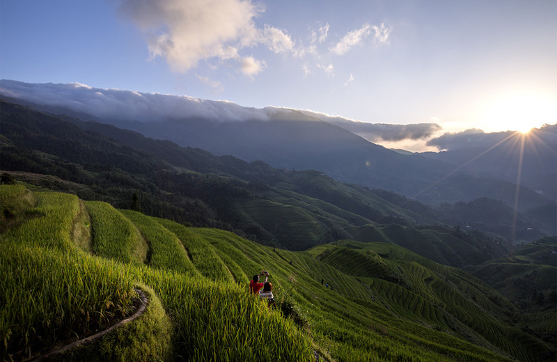 Jinkeng Rice Terraces