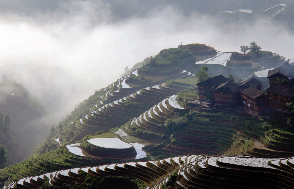 Jinkeng Rice Terraces