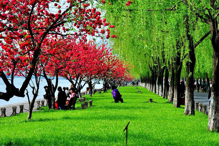 Hangzhou West Lake Spring