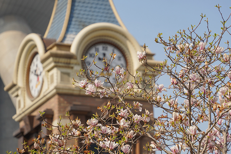 Shanghai Disney Resort