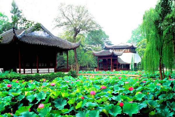 Humble Administrator's Garden