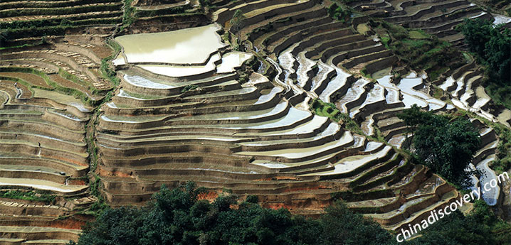 Yuanyang Bada Rice Terraces