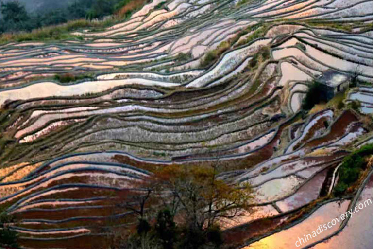 Yuanyang Duoyishi Rice Terraces