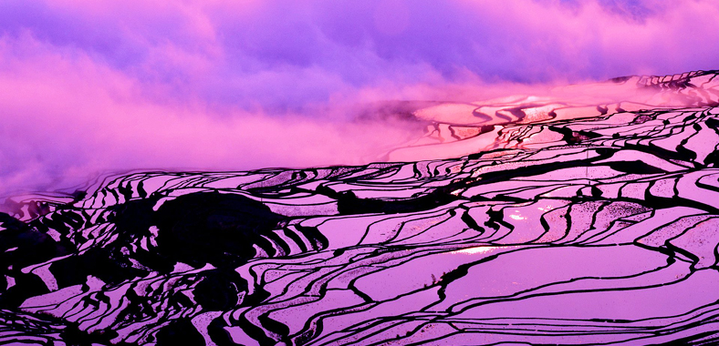 Yuanyang Duoyishi Rice Terraces