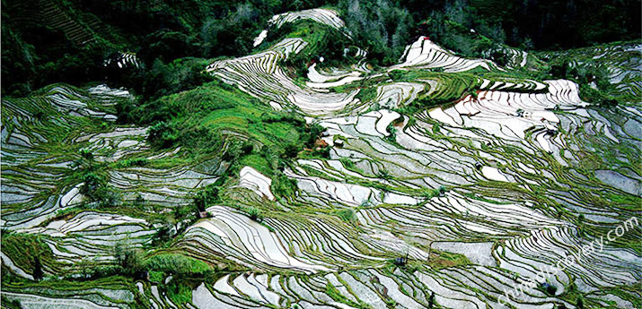 Yuanyang Laohuzui Rice Terraces