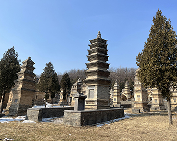 Shaolin Temple