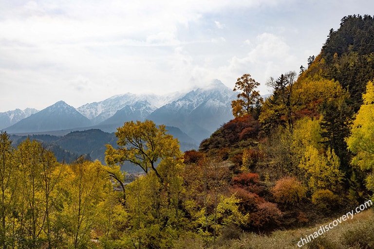 Autumn Scenery of Qilian Mountain