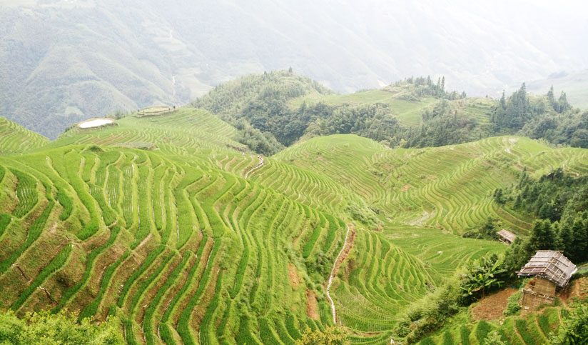 Hongcun Village