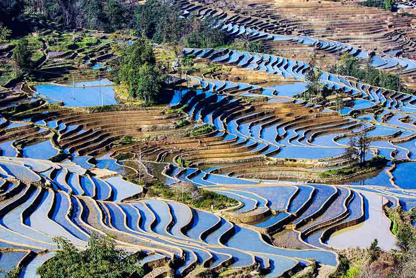 Duoyishu Rice Terraces in Yuanyang, Tour Customized by Wonder