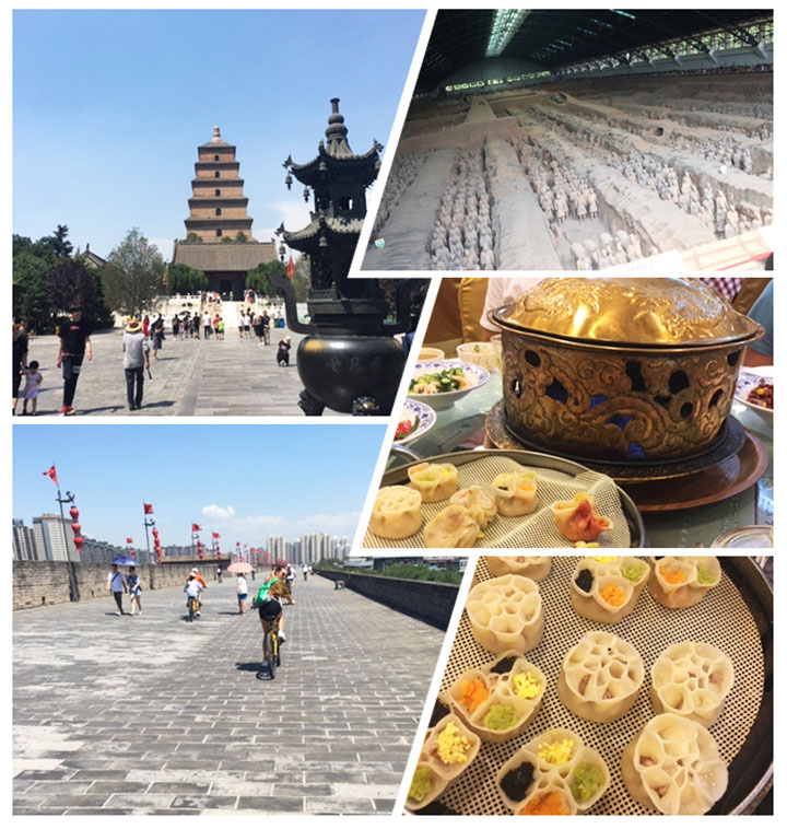  Ancient City Wall, Giant Wild Goose Pagoda and Terracotta Warriors in Xian, Photo Shared by Jennifer, Tour Customized by Wendy