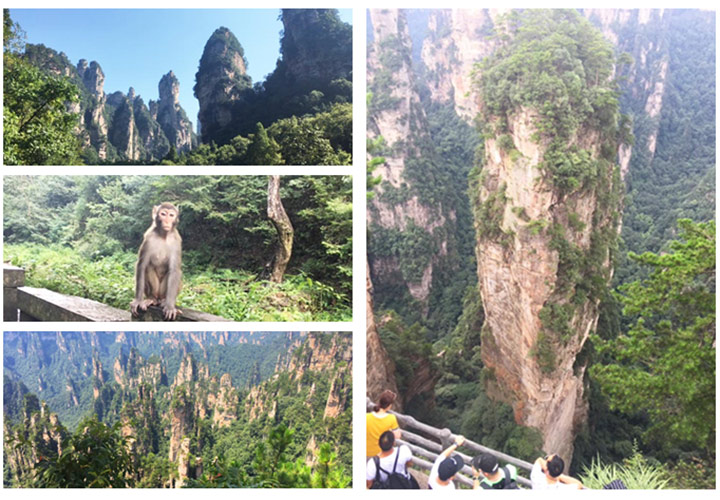  Zhangjiajie National Forest Park, Photo Shared by Jennifer, Tour Customized by Wendy