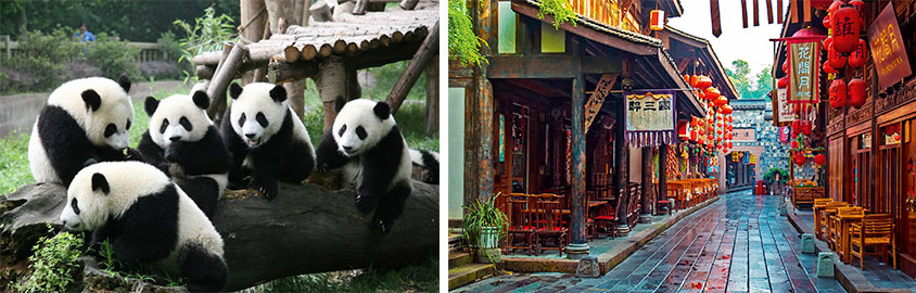 Dujiangyan Panda Base and Chengdu Jinli Old Street, Tour Customized by Leo