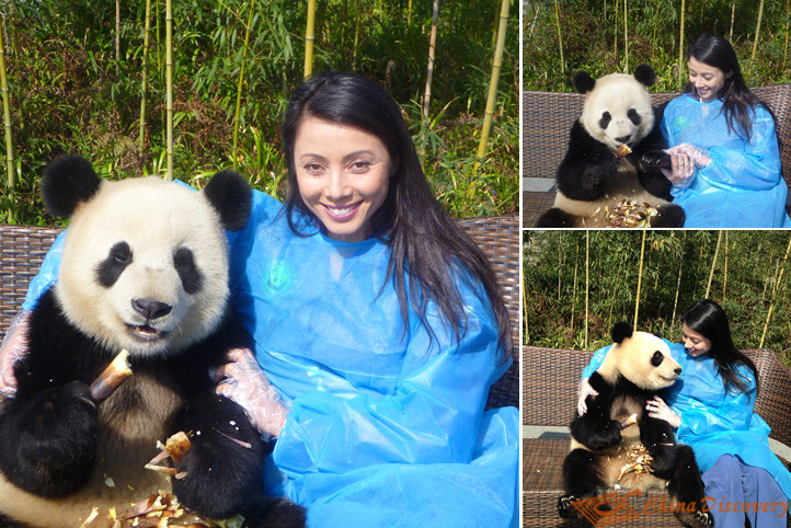 Dujiangyan Panda Base Program