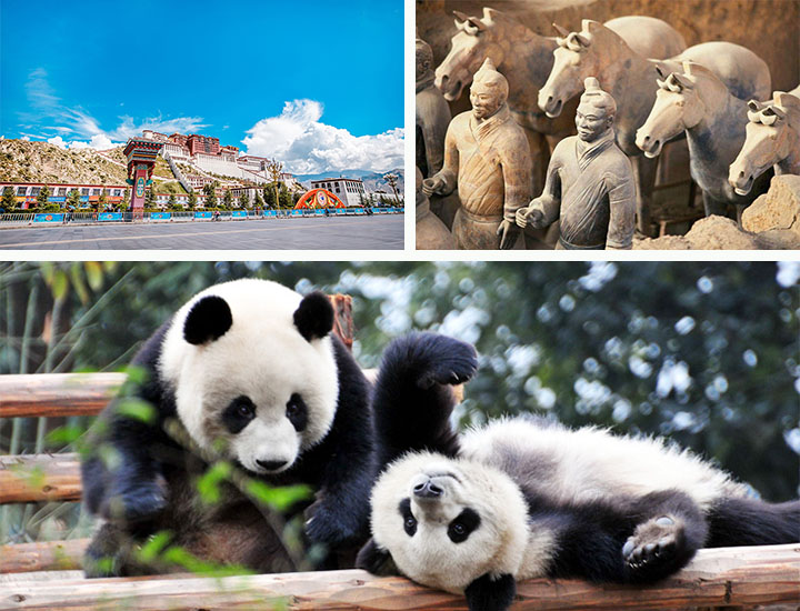 Potala Palace in Lhasa, Terracotta Warriors in Xian, and Chengdu Panda Base, Tour Customized by Wendy