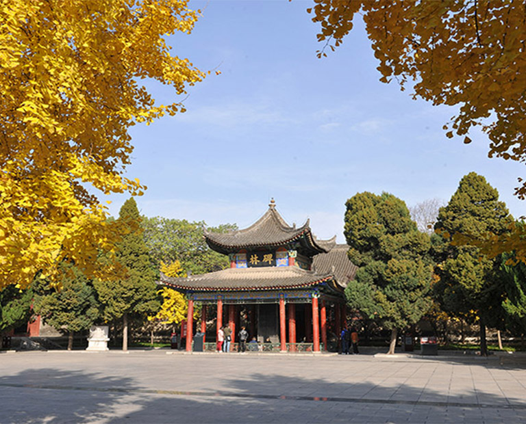 Top Xian Tourist Attractions