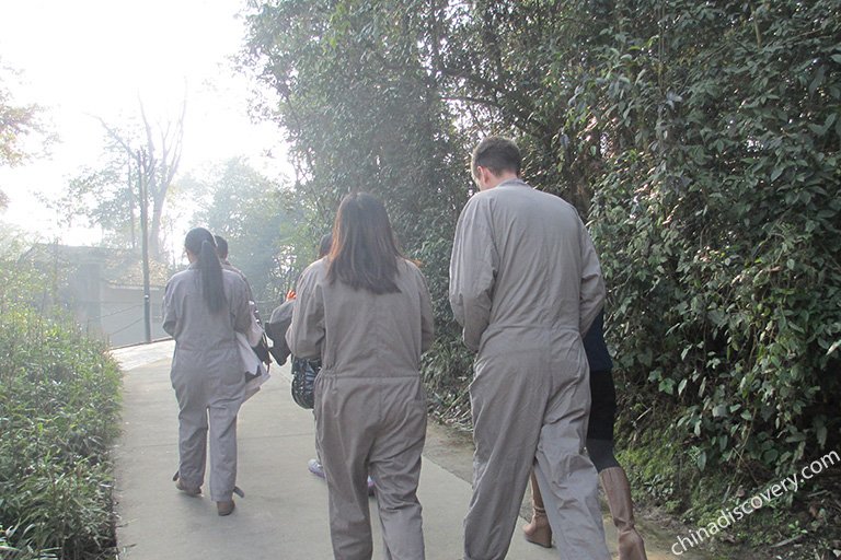 Volunteers at Bifengxia Panda Base