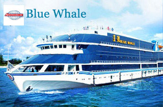 Blue Whale Cruise Ship