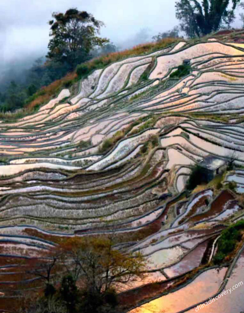 3 Days Yuanyang Tour, Yuanyang Rice Terraces Tour