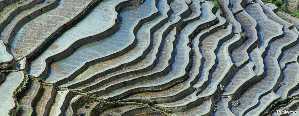 Yuanyang Rice Terrace Photography Tour