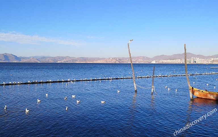 Erhai Lake Winter View