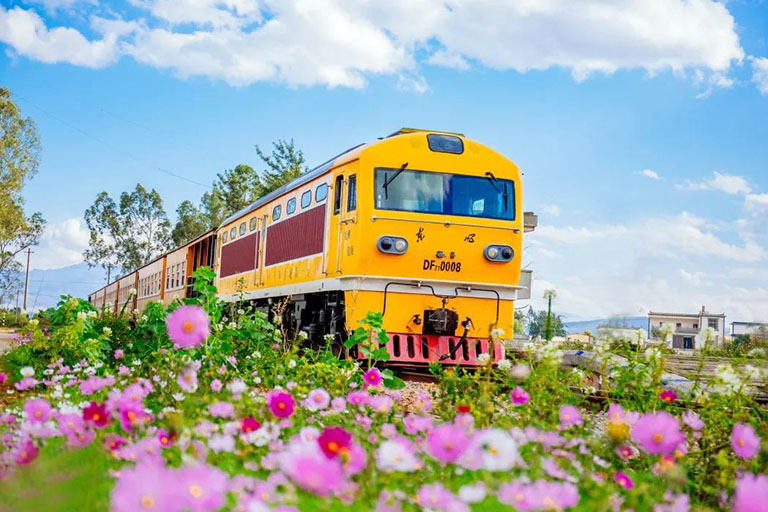 Meter-gauge Sightseeing Train