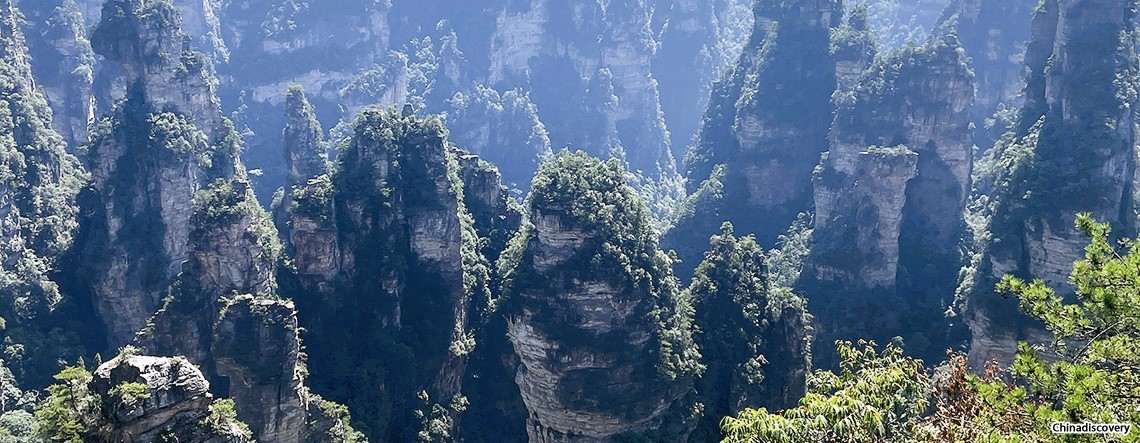 Zhangjiajie National Forest Park Tours