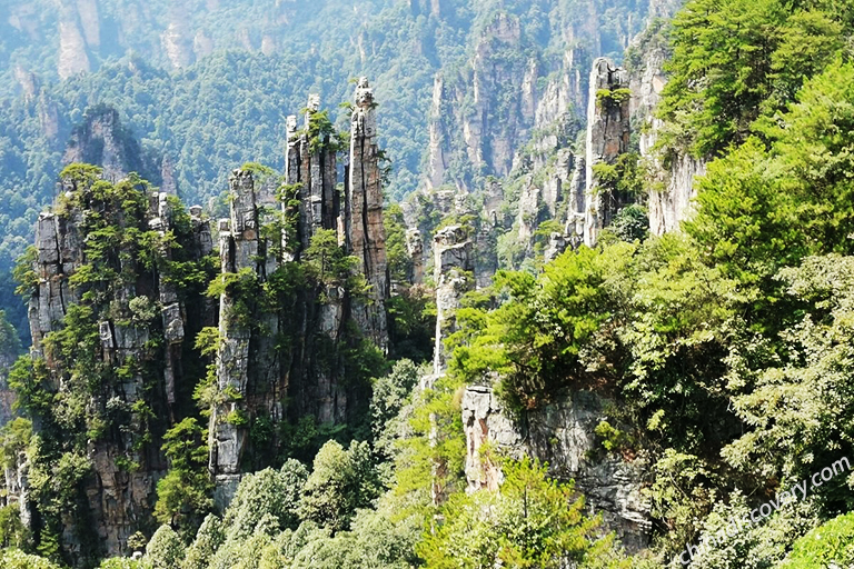 Tianzi Mountain Nature Reserve