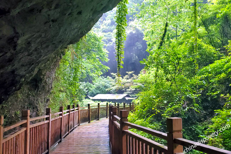 Things to Do in Zhangjiajie