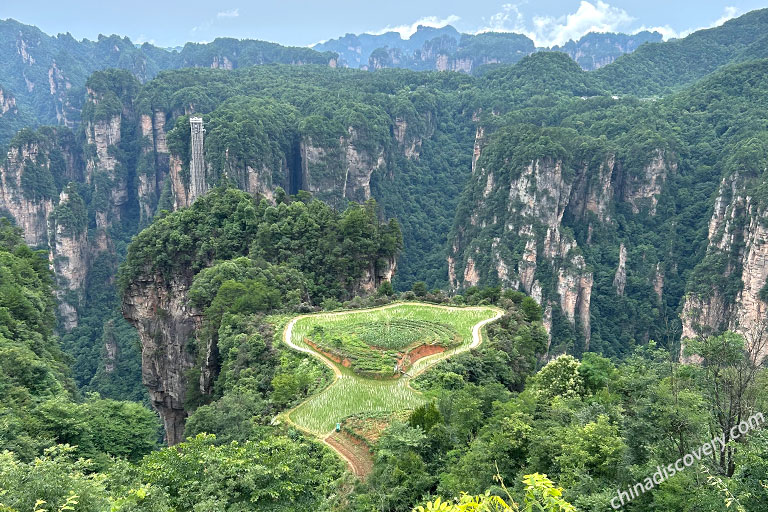 Tianzi Mountain