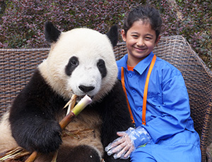 Panda Volunteer with China Discovery