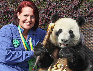 Panda Volunteer Tour with China Discovery