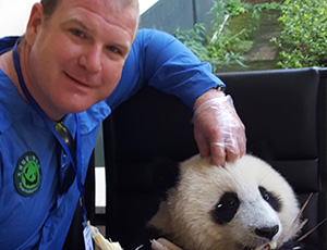 Panda Volunteer Tour with China Discovery