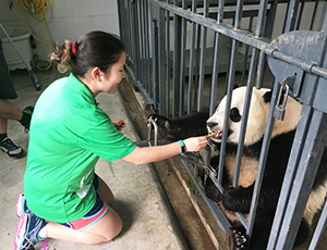 Dujiangyan Panda Volunteer