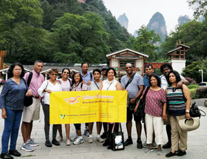 China Travel Consultant Wing