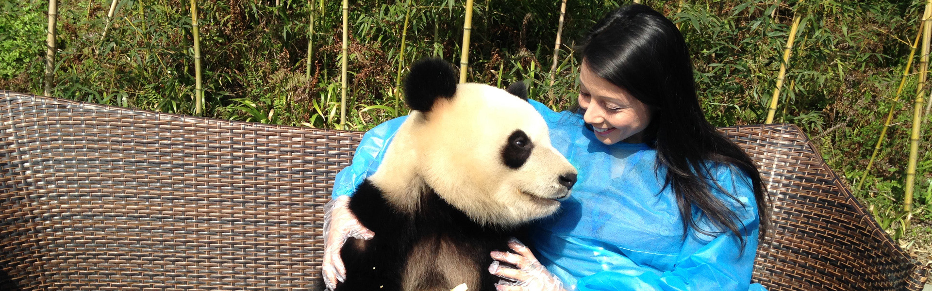 panda tours in china