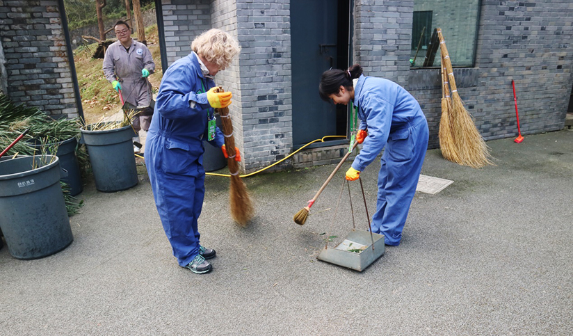 Volunteers Clean Panda's House