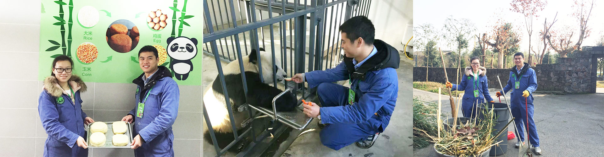 Lifetime Experience with Pandas at Dujiangyan Panda Base