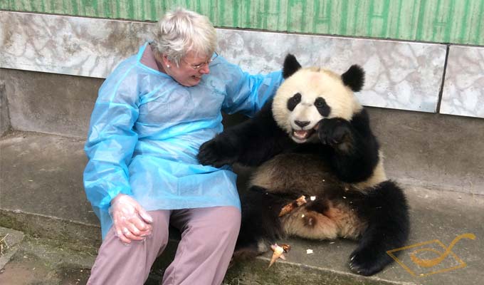 See Pandas with China Discovery